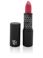 ABSOLUTION LIPSTICK LE SATIN 19 ROSE FRANC_