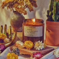 P.F. CANDLE & CO. NO.33 SUNBLOOM