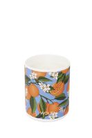 SALE - WOUF CANDLE ORANGE BLOSSOM